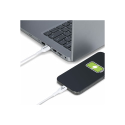 STARTECH USB A TO C CABLE M M 3M USB 2 0 WHITE 15W
