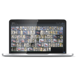 BRIEFCAM PROTECT PROCESSING EXPANSION PACK