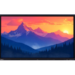 COMMBOX (CBIC65S5)65"4K UHD...