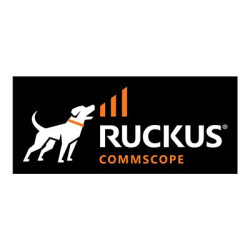 RUCKUS MOUNT KIT, ANYANGLE,...
