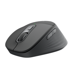 LOGITECH M850 L WIRELESS MOUSE, USB-C, 2.4GHZ/BT-N,GRAPHITE